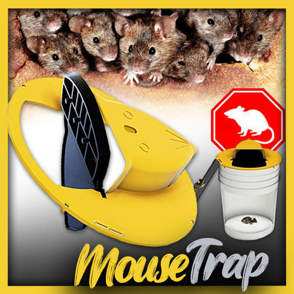 Mousetrap – Ja rotilõks